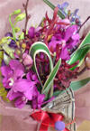 20111114191804.jpg