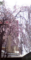 20120330124413.jpg