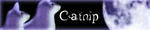 Catnip