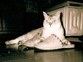 slip03.jpg