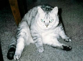 suwari01.jpg