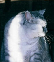 suwari02.jpg