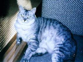 suwari04.jpg