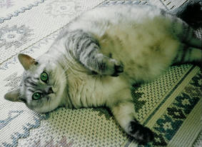 otete02.jpg