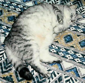 debu02.jpg