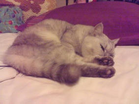 081013_2127~03.jpg