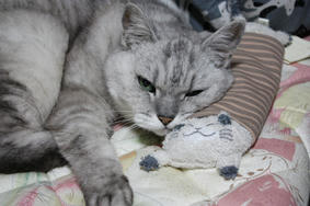 HANA090602.JPG
