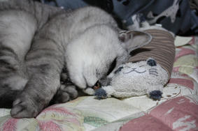 HANA090604.JPG