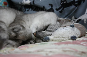 HANA090608.JPG