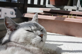 2010031404.JPG