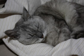 H20100523_01.JPG
