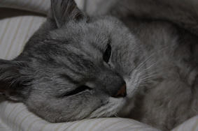 H20100523_03.JPG