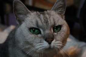 H20100523_06.JPG