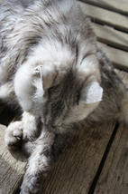 H20100620_11.JPG