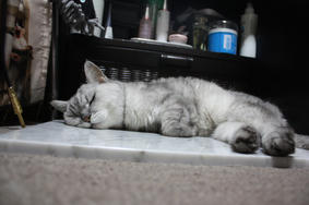 H2010919_05.JPG