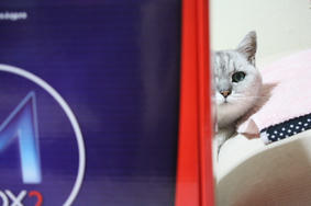 hana2010926_01.JPG