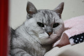 hana2010926_03.JPG