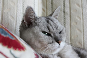 HANA20101229_3.JPG