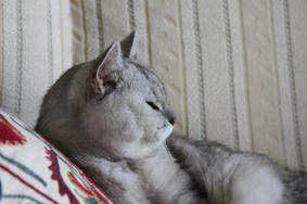 HANA20101229_5.JPG