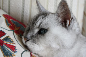 HANA20101229_6.JPG