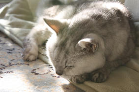 2012032402.JPG
