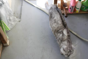 2012032403.JPG