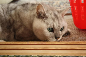 2012032404.JPG