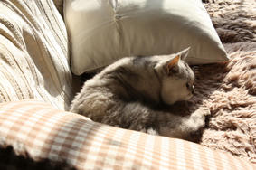 2012032405.JPG