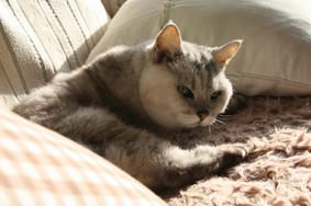 2012032406.JPG