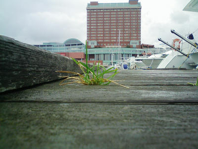DVC00076.JPG