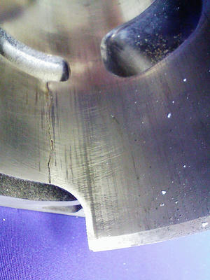 DVC00079.JPG