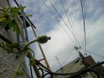 7ac06941.jpg