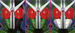 rider2.JPG