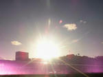 398f99b3.jpg