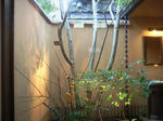 4281a588.jpg