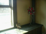 c92b9243.jpg