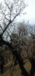 100204_102313.jpg