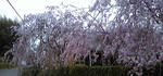 100410_172227.jpg