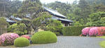 c0c04544.jpg