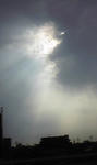 963d886d.JPG