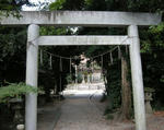 f817d532.jpg