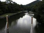 0ba724d3.jpg