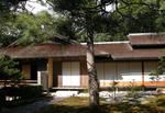 ca7bb196.jpg