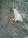 0194e5a2.jpg