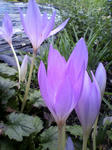 2011100614320000.jpg
