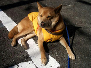 walk2.jpg