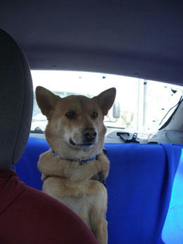 drive10.jpg