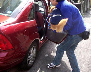 drive2.jpg