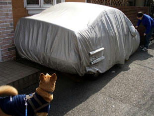 drive1.jpg