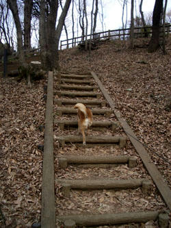 park1.jpg